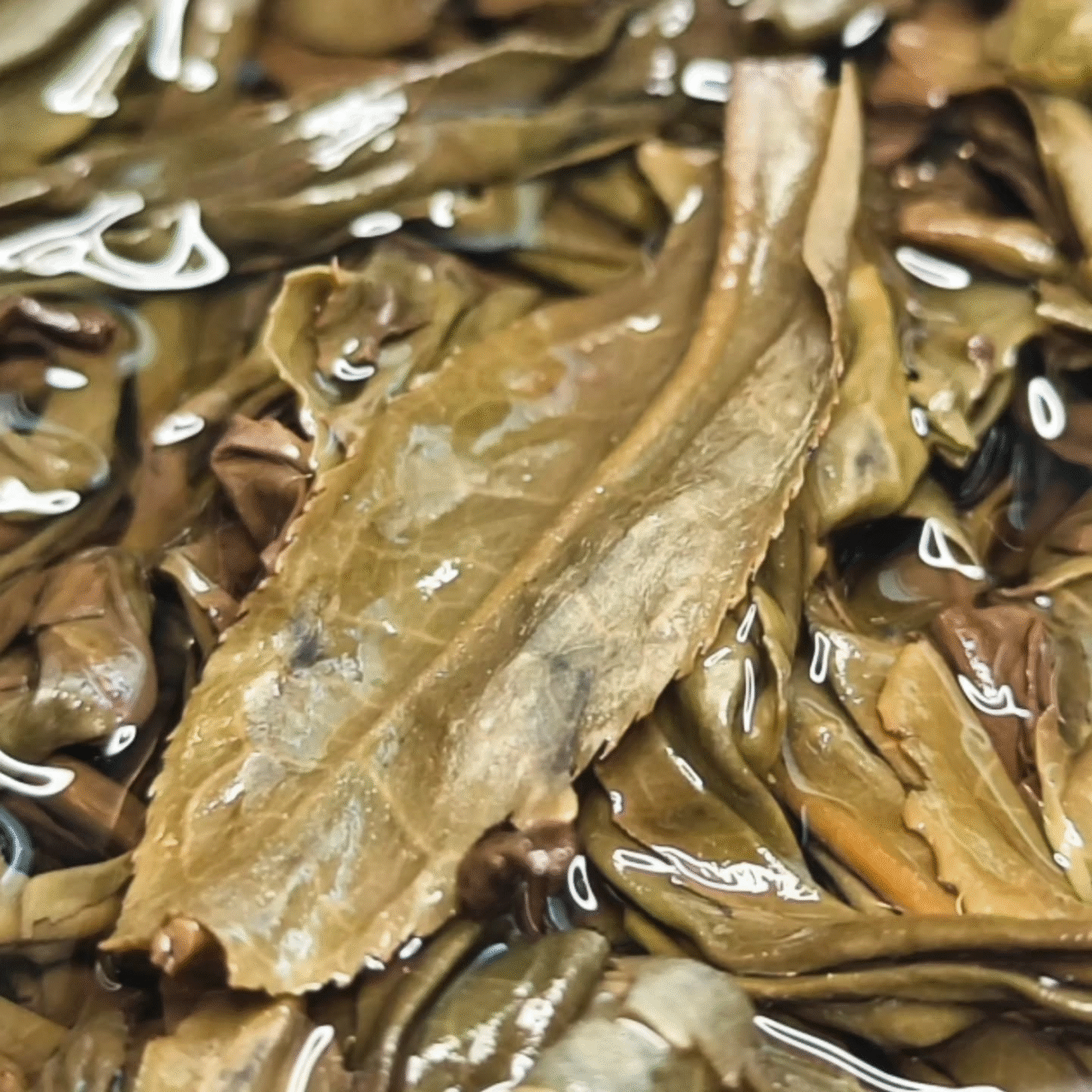 [ sublime potion ] - gently comforting tea